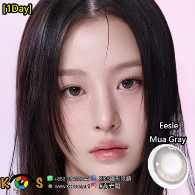 [1Day]I-DOL Eesle Mua Gray 원데이 이슬 무아 그레이